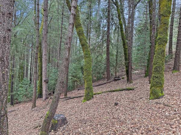17871 Rollins View DR, Grass Valley, CA 95945