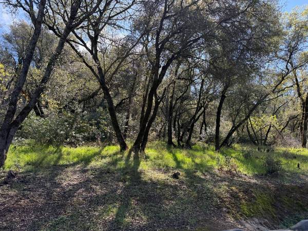 1001 Old Airport RD, Auburn, CA 95603