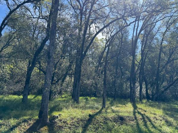 1001 Old Airport RD, Auburn, CA 95603