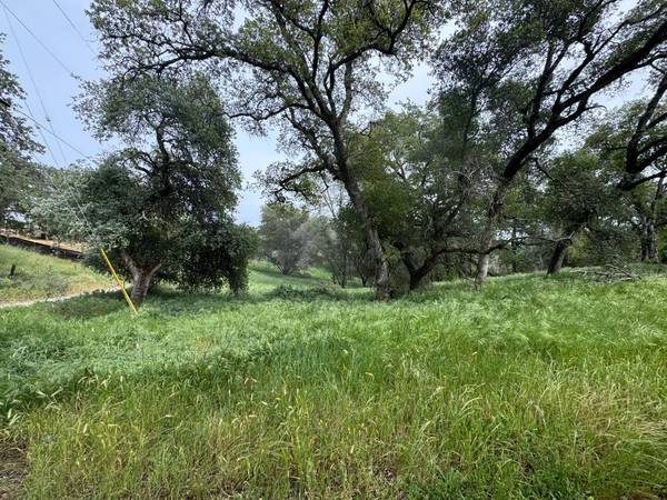 5400 Maranatha LN, Lincoln, CA 95648