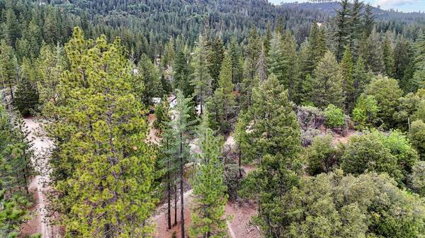 12957 Sailor Flat RD, Nevada City, CA 95959