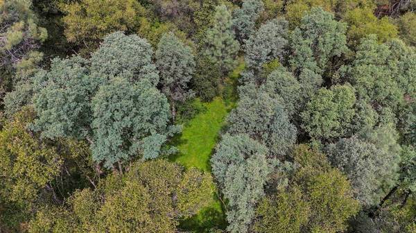 10599 Linton LN, Grass Valley, CA 95949