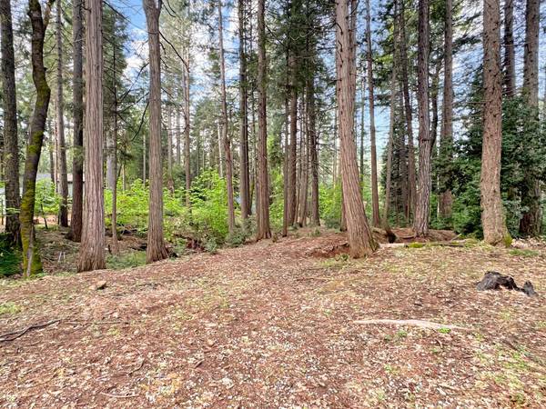 12834 Spanish LN, Nevada City, CA 95959