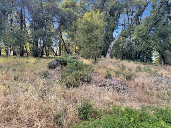 15340 Brewer RD, Grass Valley, CA 95949