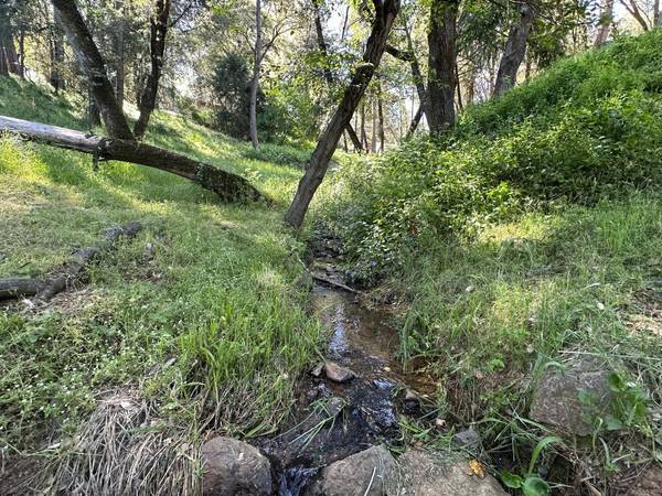 15340 Brewer RD, Grass Valley, CA 95949