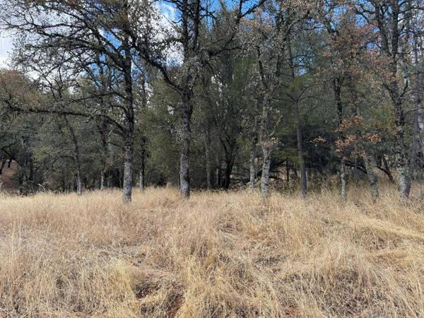 17022 Brewer RD, Grass Valley, CA 95949