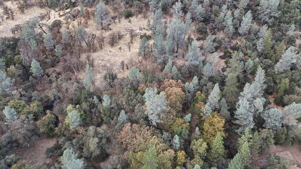 17022 Brewer RD, Grass Valley, CA 95949