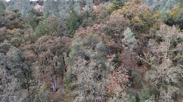 17022 Brewer RD, Grass Valley, CA 95949