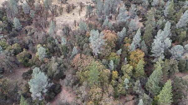 17022 Brewer RD, Grass Valley, CA 95949