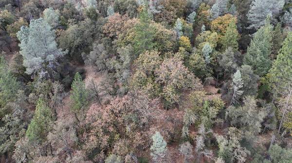17022 Brewer RD, Grass Valley, CA 95949