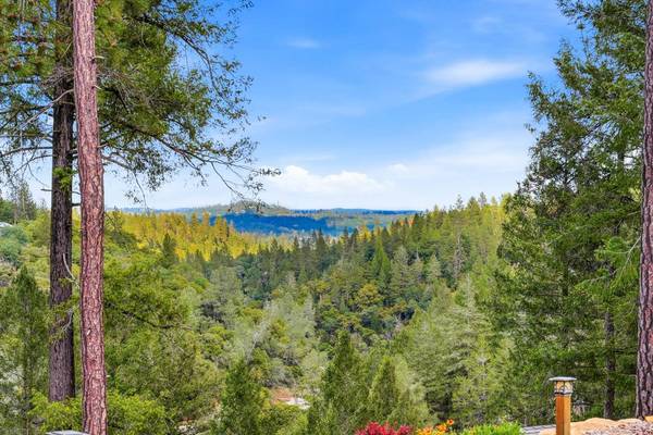 3942 Bear Canyon CT, Meadow Vista, CA 95722