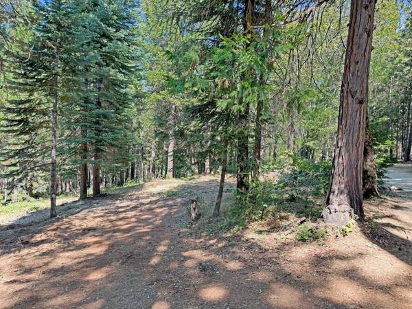 12606 Green lee Woods LN, Nevada City, CA 95959