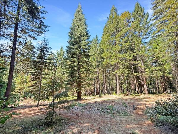 12606 Green lee Woods LN, Nevada City, CA 95959