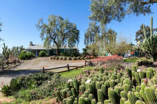 1245 Alpine Oaks Dr, Alpine, CA 91901