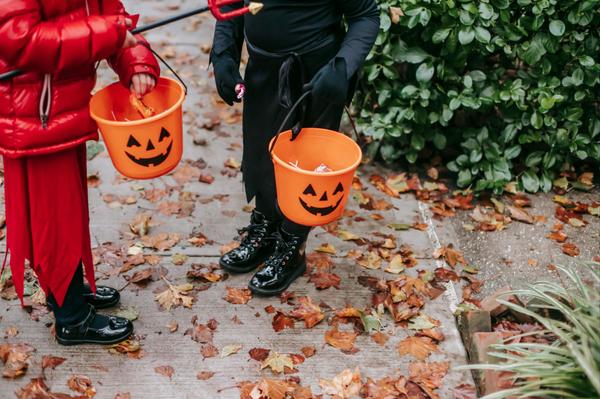 5 Events in Boise & Beyond - October 24th - 26th