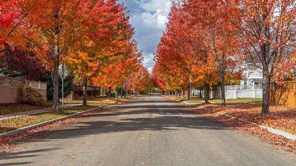 Halloween Happenings in Boise - 2025