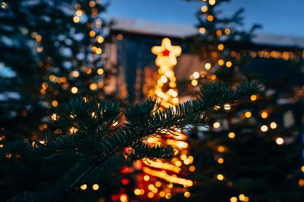 5 Events in Boise & Beyond - November 14th - 16th