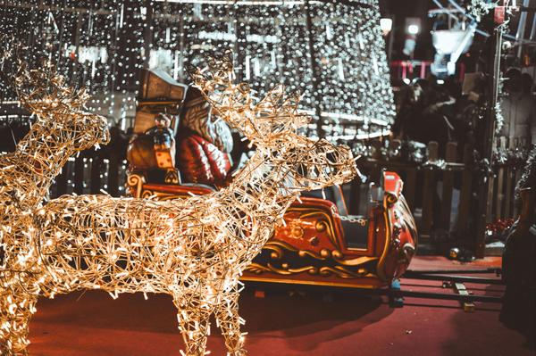 5 Events in Boise & Beyond - November 21st - 23rd