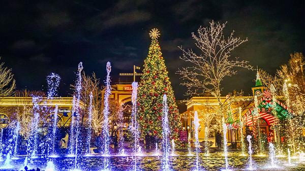 Holiday Hosting & Decor: Where to Shop in Boise