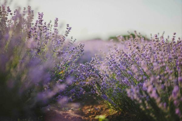 5 Events in Boise & Beyond - June 27th - 29th