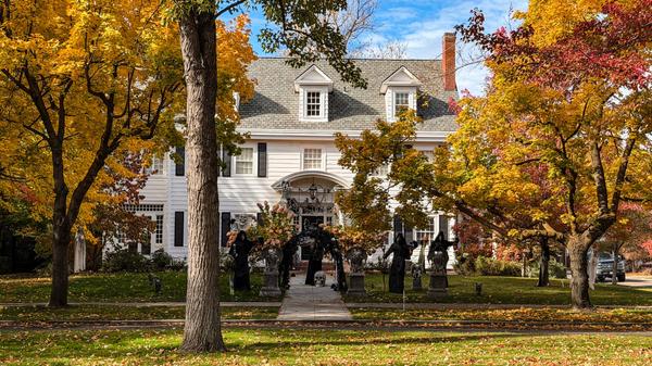 Halloween on Harrison: A North End Tradition