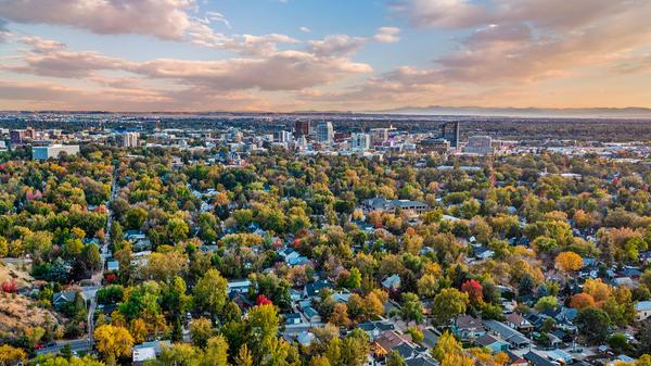 North End Happenings & Updates