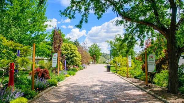 Connecting Neighborhoods and Nature: Boise’s Latest Park Projects