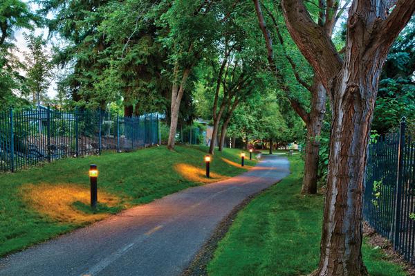 Greenbelt at dusk