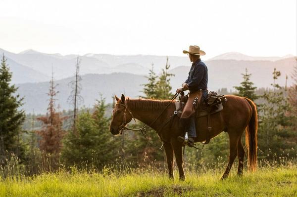 Where Luxury Meets the West: Idaho's Finest Guest Ranches