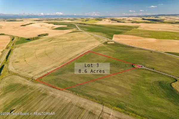 LOT 3 MOUNTAIN SHADOWS LN, Drummond, ID 83420