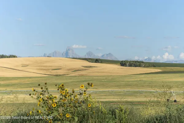 LOT 3 MOUNTAIN SHADOWS LN, Drummond, ID 83420