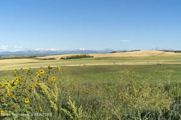 LOT 3 MOUNTAIN SHADOWS LN, Drummond, ID 83420