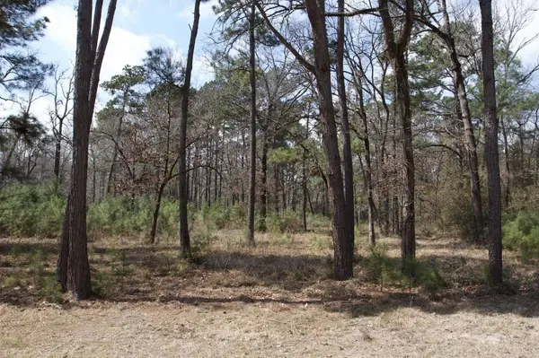 4345 FM 3188, Trinity, TX 75862