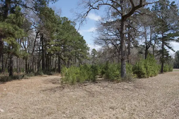 4345 FM 3188, Trinity, TX 75862