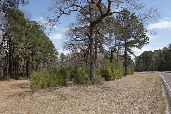 4345 FM 3188, Trinity, TX 75862