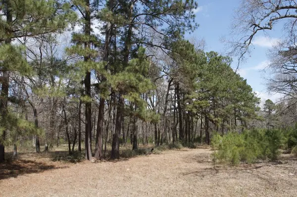 4345 FM 3188, Trinity, TX 75862