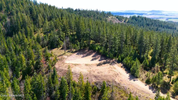 Lot 10 Lone Moose Dr, Plummer, ID 83851