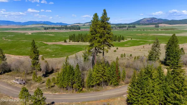 Lot 4 Lone Moose Dr, Plummer, ID 83851