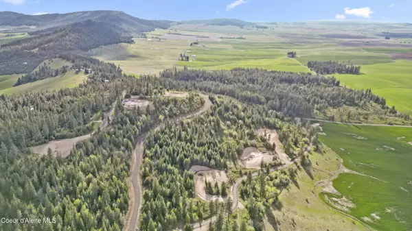 Lot 4 Lone Moose Dr, Plummer, ID 83851