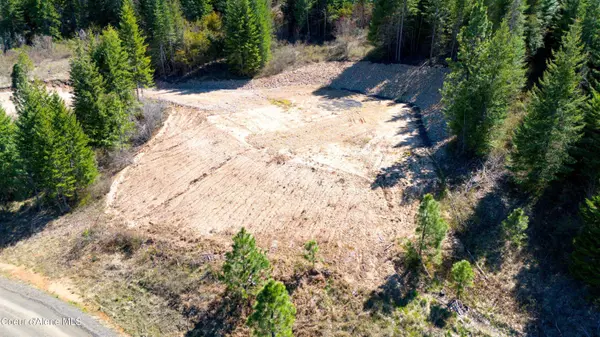 Lot 4 Lone Moose Dr, Plummer, ID 83851