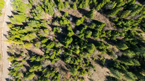 Lot 9 Lone Moose Dr, Plummer, ID 83851