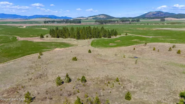 Lot 4 Lone Moose Dr, Plummer, ID 83851