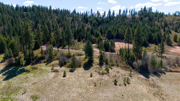 Lot 4 Lone Moose Dr, Plummer, ID 83851