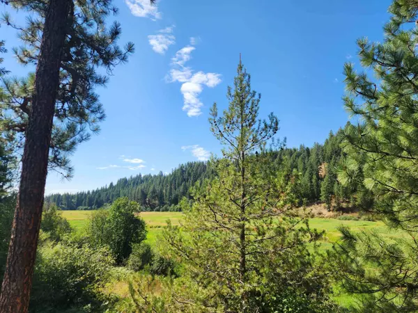 2901 Nicholson Rd, Elk, WA 99009
