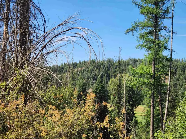 2901 Nicholson Rd, Elk, WA 99009