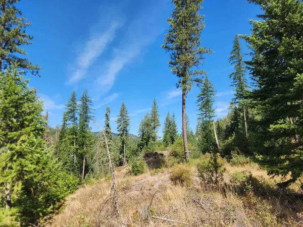 2901 Nicholson Rd, Elk, WA 99009