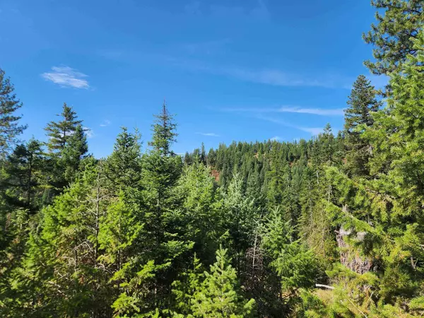 2901 Nicholson Rd, Elk, WA 99009