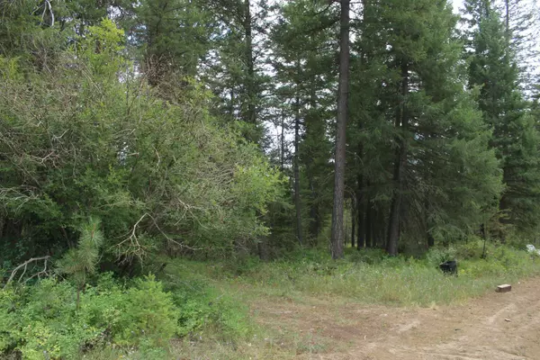 93 Buck Creek Rd, Newport, WA 99156