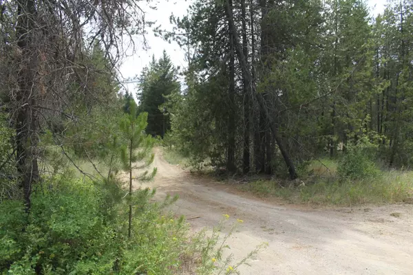 93 Buck Creek Rd, Newport, WA 99156