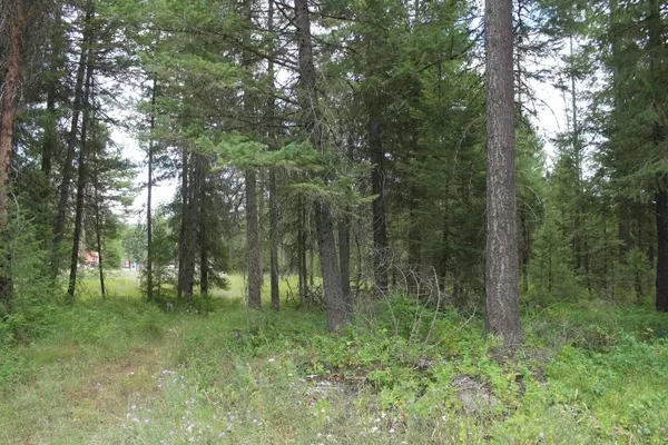 93 Buck Creek Rd, Newport, WA 99156